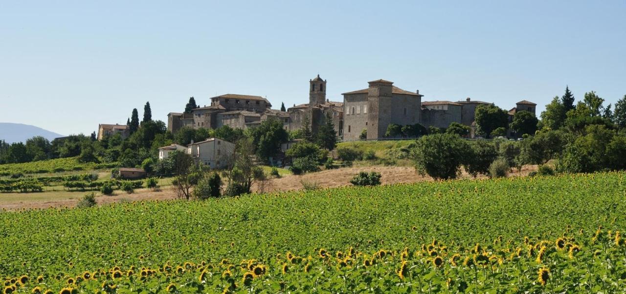 La Casa Di Marco E Lorella Fratta Todina المظهر الخارجي الصورة